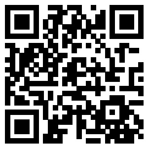the qr code